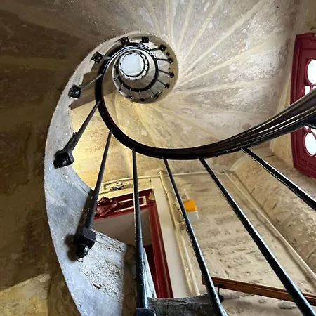 Joli Studio Centre דירה